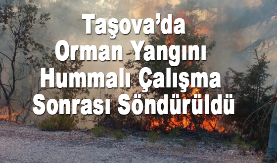 Taşova’da Orman Yangını Hummalı Çalışma Sonrası Söndürüldü