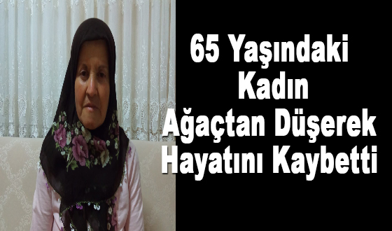 65 Yaşındaki Kadın Ağaçtan Düşerek Hayatını Kaybetti