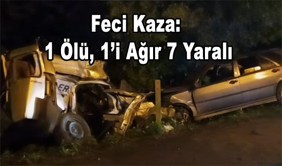 Feci Kaza: 1 Ölü, 1’i Ağır 7 Yaralı