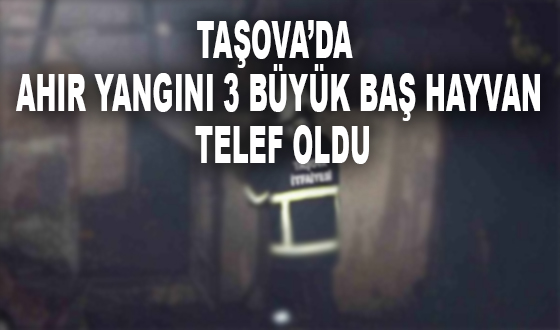 TAŞOVA’DA AHIR YANGINI 3 BÜYÜK BAŞ HAYVAN TELEF OLDU