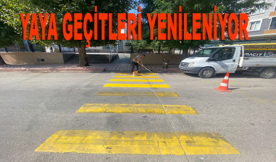 YAYA GEÇİTLERİ YENİLENİYOR