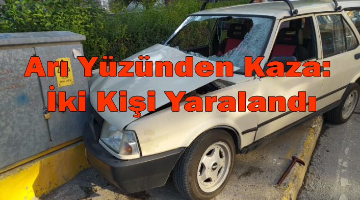 Arı Yüzünden Kaza: İki Kişi Yaralandı