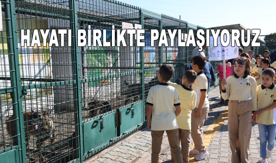 HAYATI BİRLİKTE PAYLAŞIYORUZ