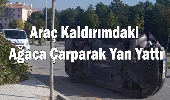 Araç Kaldırımdaki Ağaca Çarparak Yan Yattı