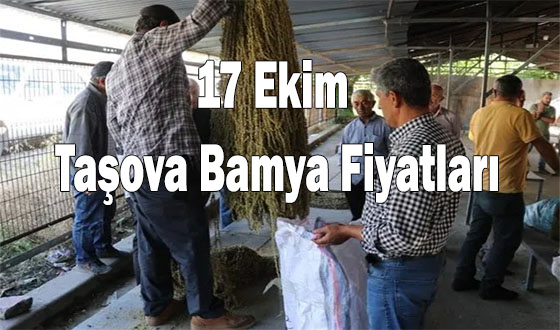 17 Ekim Taşova Bamya Fiyatları