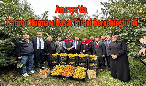 Amasya'da Trabzon Hurması Hasat Töreni Gerçekleştirildi