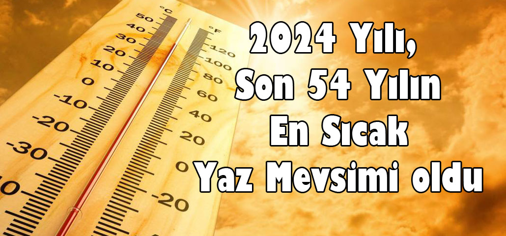 2024 Yılı, Son 54 Yılın En Sıcak Yaz Mevsimi oldu