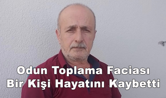 Odun Toplama Faciası: Bir Kişi Hayatını Kaybetti