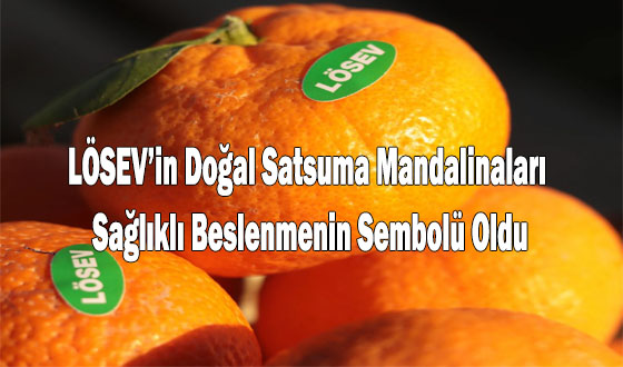 LÖSEV’in Doğal Satsuma Mandalinaları Sağlıklı Beslenmenin Sembolü Oldu