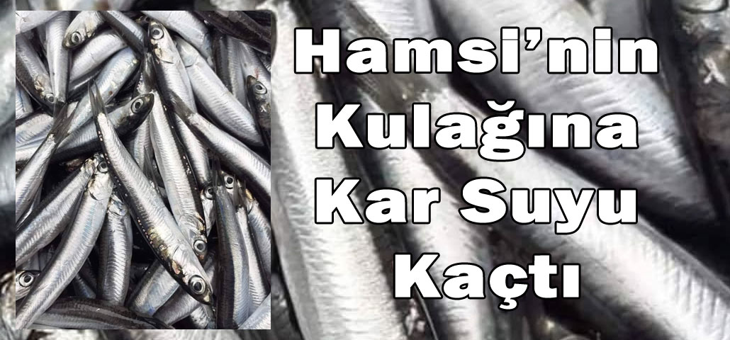 Hamsi̇ni̇n Kulağına Kar Suyu Kaçtı