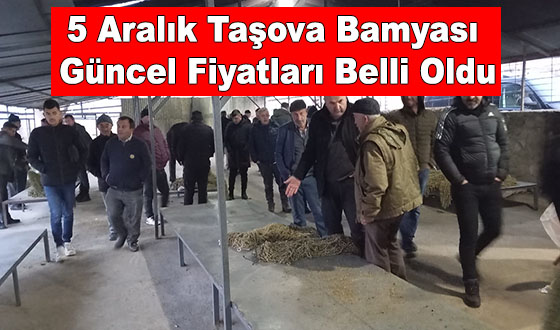 5 Aralık Taşova Bamyası Güncel Fiyatları Belli Oldu