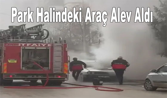 Park Halindeki Araç Alev Aldı