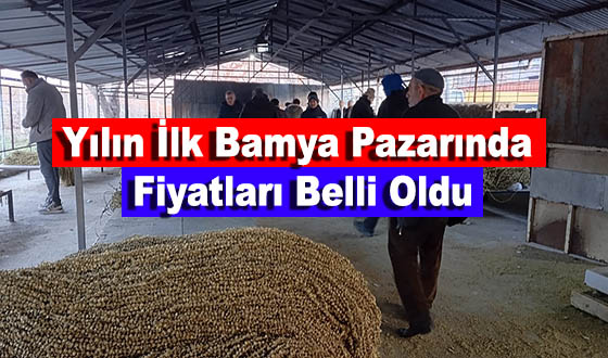 Yılın İlk Bamya Pazarında Fiyatları Belli Oldu