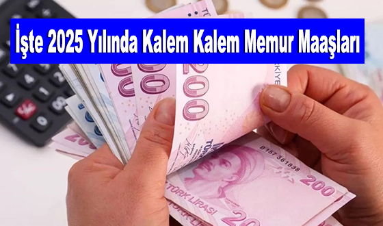 İşte 2025 Yılında Kalem Kalem Memur Maaşları