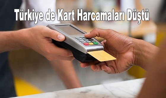 Türkiye de Kart Harcamaları Düştü