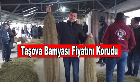 Taşova Bamyası Fiyatını Korudu