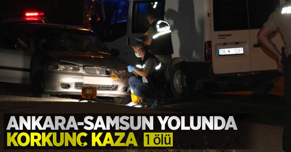 Ankara Samsun yolu Kayaş mevkii Kaza: 1 ölü