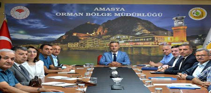 Amasya Orman Bölge Müdürü Halil Oflu Başkanlığında Şube Müdürleri Toplantısı Yapıldı