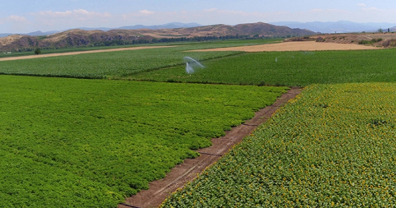 Amasya'da 2020 Yılında 306.159 Dekar Tarım Arazisi Sulandı