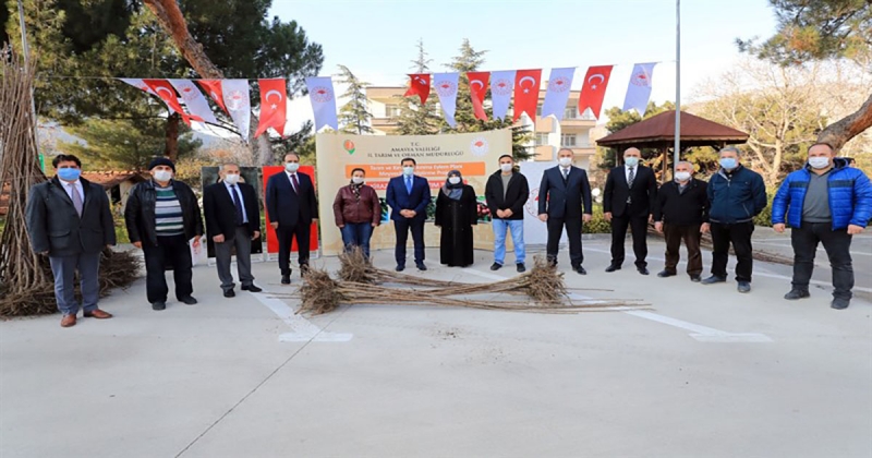 Amasya'da Kiraz Fidanı Dağıtım Töreni Yapıldı