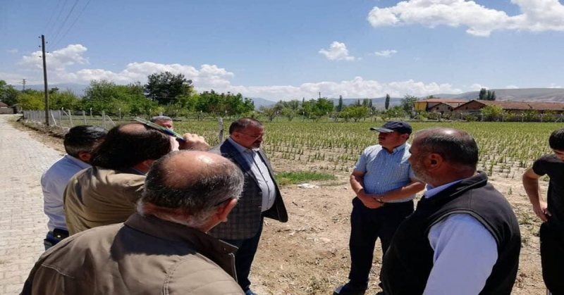 CHP Amasya Milletvekili Tuncer, Suluova'da Doludan Zarar Gören Köylüleri Ziyaret Etti