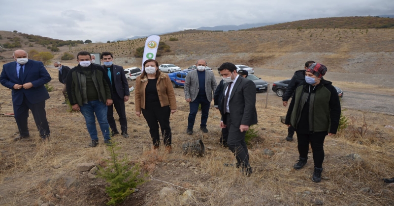  Gümüşhacıköy'de 'Milli Ağaçlandırma Günü' Etkinliği Gerçekleştirildi