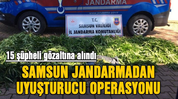 Jandarma'dan uyuşturucuya 15 gözaltı