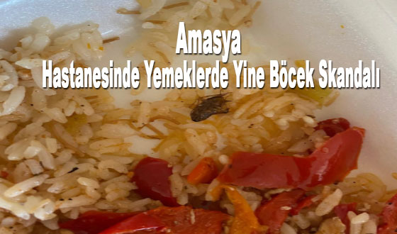 Amasya Hastanesinde Yemeklerde Yine Böcek Skandalı