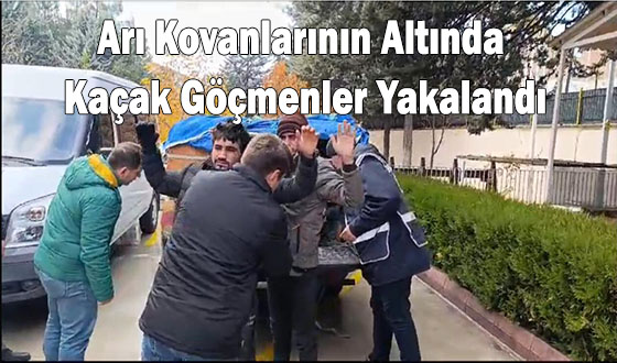 Arı Kovanlarının Altında Kaçak Göçmenler Yakalandı